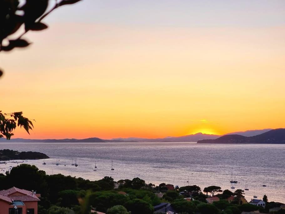 Apartment Rosario' Port D'hyeres - Air-conditioned And Wifi Le Majorelle - T2 50m